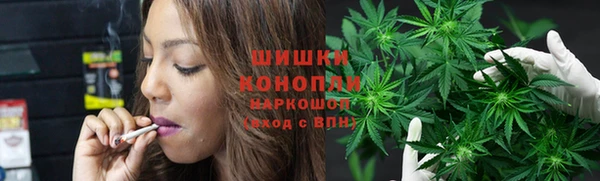 метадон Богданович