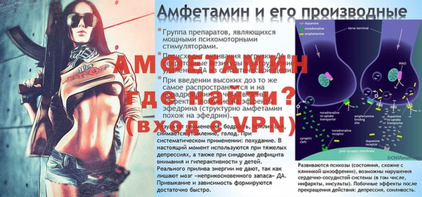 сатива Беломорск