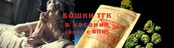 метадон Богданович