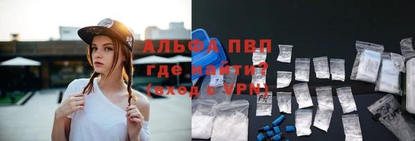 сатива Беломорск