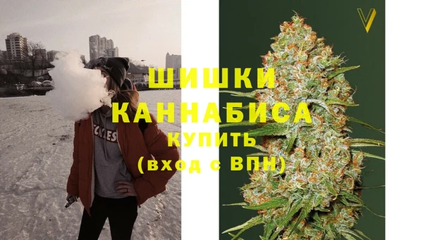 сатива Беломорск