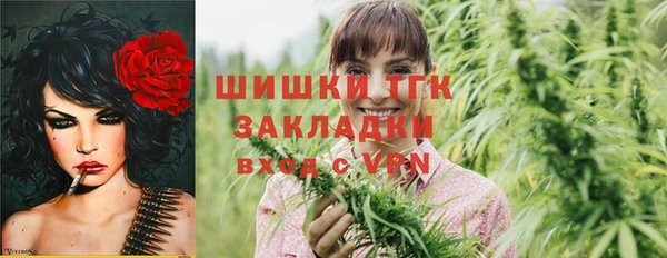 спиды Богородск