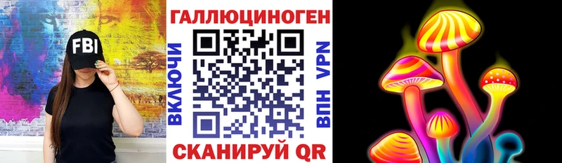 площадка состав  Дигора  Псилоцибиновые грибы Psilocybine cubensis 